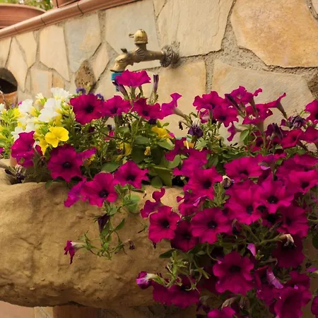 Frühstückspension La Casa Di Bia Corleone