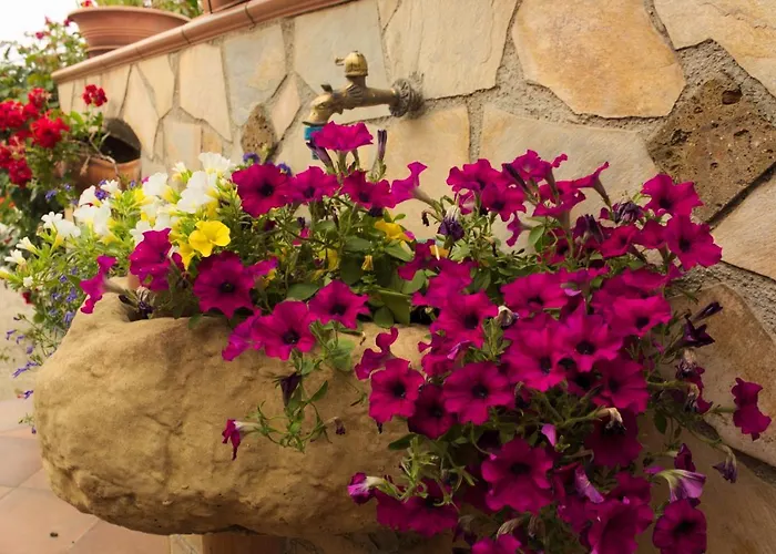 Bed & Breakfast La Casa Di Bia Corleone